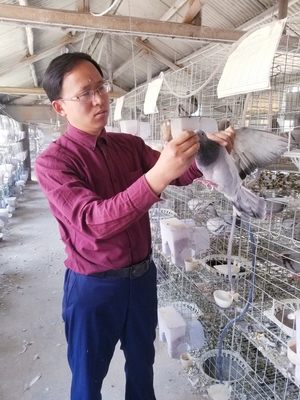 新江苏·新农人 | 徐善金 小鸽子“孵”出大产业 生物饲料研发