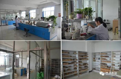 大地肽宝 生物发酵饲料研发的创新突破与应用前景