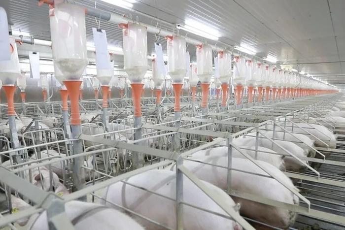 向大海更远处航行 刘永好2023寄语与生物饲料研发的新希望