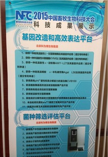 北京科为博生物集团助力中国畜牧生物科技大会，引领生物饲料研发新篇章
